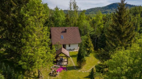 Holiday home in Delnice - Gorski Kotar 43959